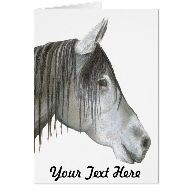 Cheval gris (Devant)