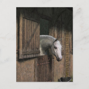 Cheval gris à la carte postale Stable Door