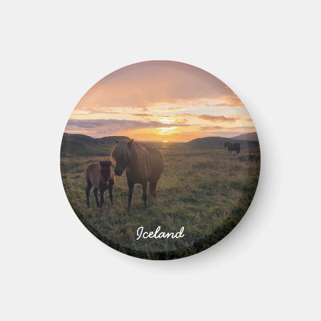 cheval islandais - aimant paysage (Devant)