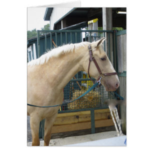 Cheval jaune