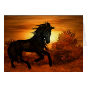 Cheval Lover Black Stallion Horse Blank