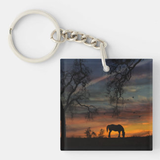 Cheval magnifique dans le Sud-Ouest Sunrise Porte