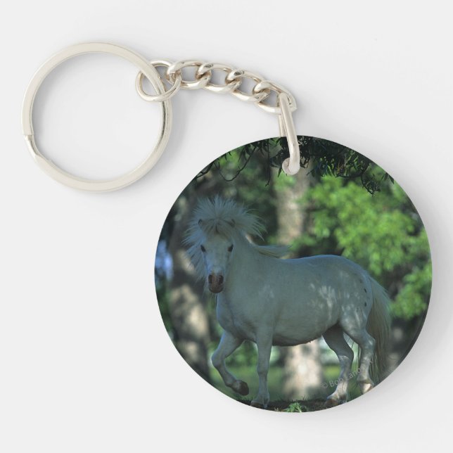Cheval miniature se tenant dans les arbres (Devant)