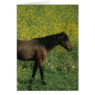 Cheval Mustang sauvage debout en fleurs