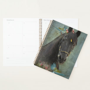 Cheval Noir Cheval Friesen - Calendrier, Planifica