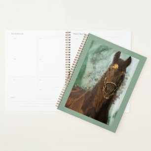 Cheval Noir Cheval Friesen - Calendrier, Planifica