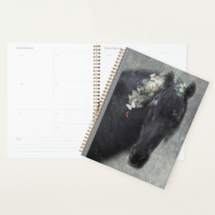 Cheval Noir Cheval Friesen - Calendrier, Planifica