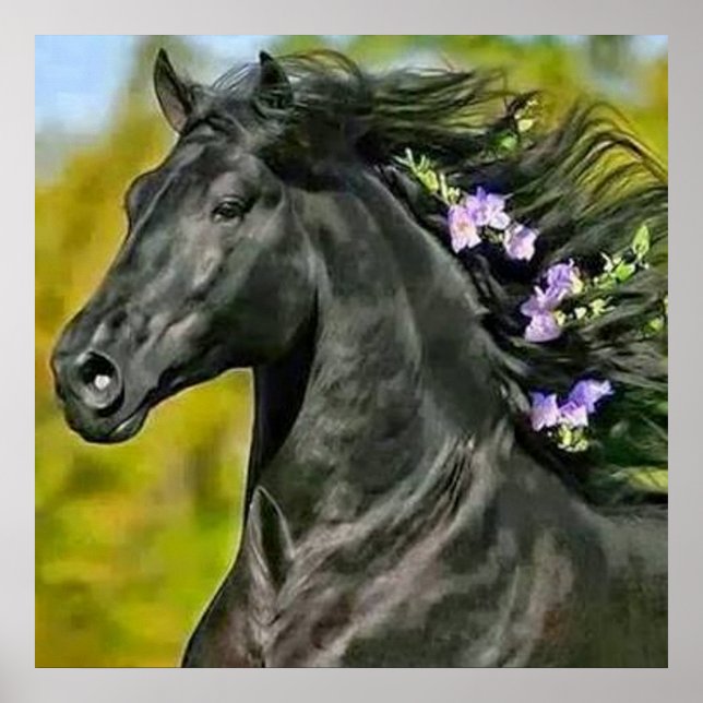 Cheval noir crinière fleurie, Papier poster (matt) (Vorne)
