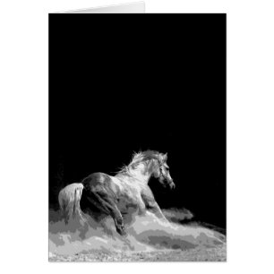 Cheval noir et blanc dans l'action