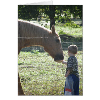 Cheval nourrisseur de petits garçons