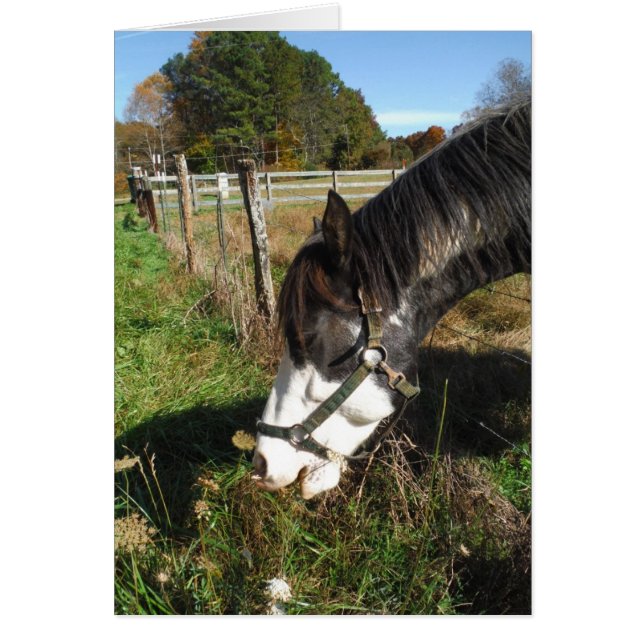 Cheval Peint, Manger Reine Ann Fleur dentelle (Devant)