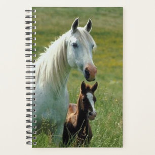 Cheval Photo Equine Mare Foie Grass haute