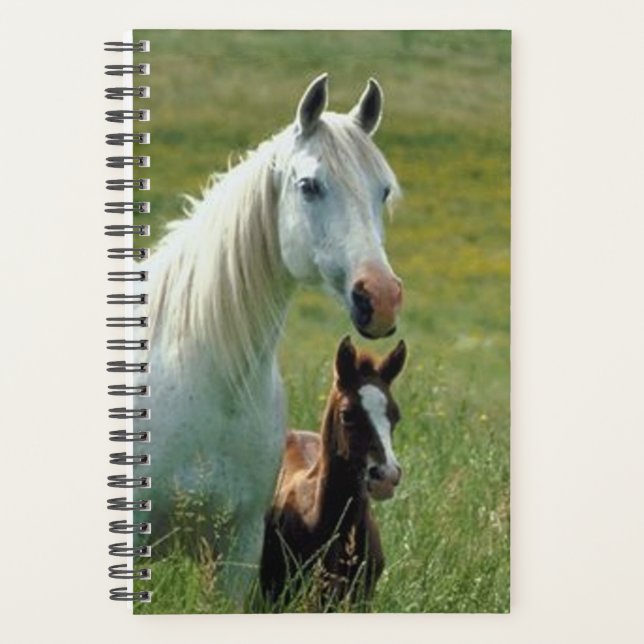 Cheval Photo Equine Mare Foie Grass haute (Devant)