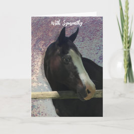 CHEVAL PORTRAIT PHOTO CARTE DE SYMPATHIE ANIMALE