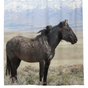 CHEVAL ROAN SAUVAGE DE L'ONAQUI HERD LE Rideau DE