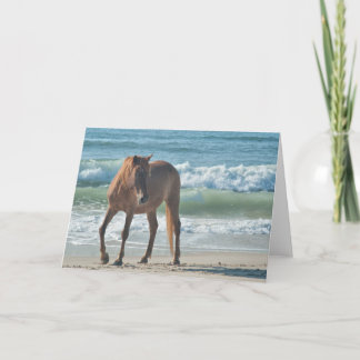 Cheval sauvage d'île de carte de note d'Assateague
