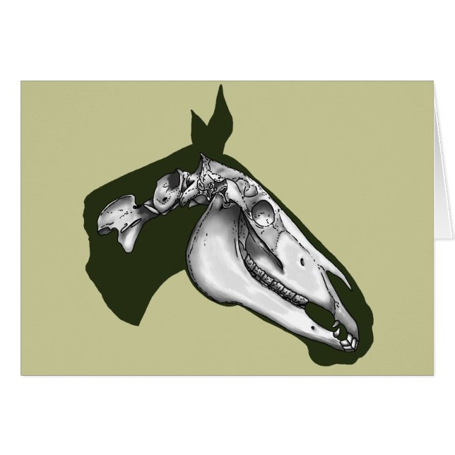 Cheval Squelette (Devant horizontal)