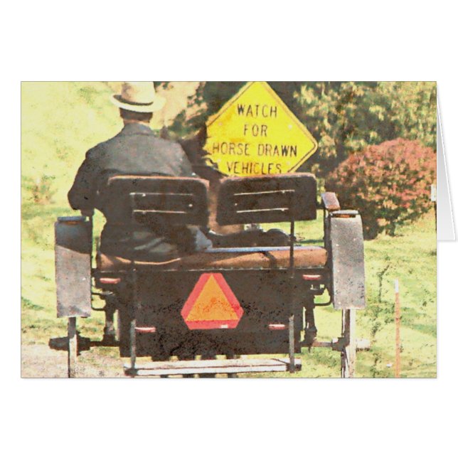 Cheval tiré Vechicles, Amish Horse et Buggy (Devant horizontal)