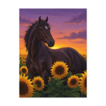 Cheval Tournesol au Coucher du Soleil Carte Postal