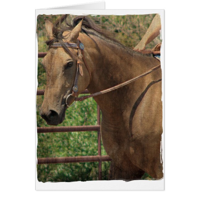 Cheval Western Buckskin (Devant)