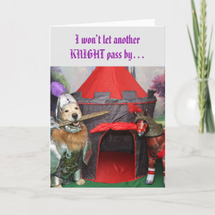 Chevalier d'or Retriever Merci