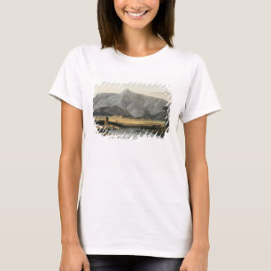 Chevalpettore, Platte V von Teil 6 'orientalischem T-Shirt