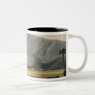 Chevalpettore, Platte V von Teil 6 'orientalischem Zweifarbige Tasse
