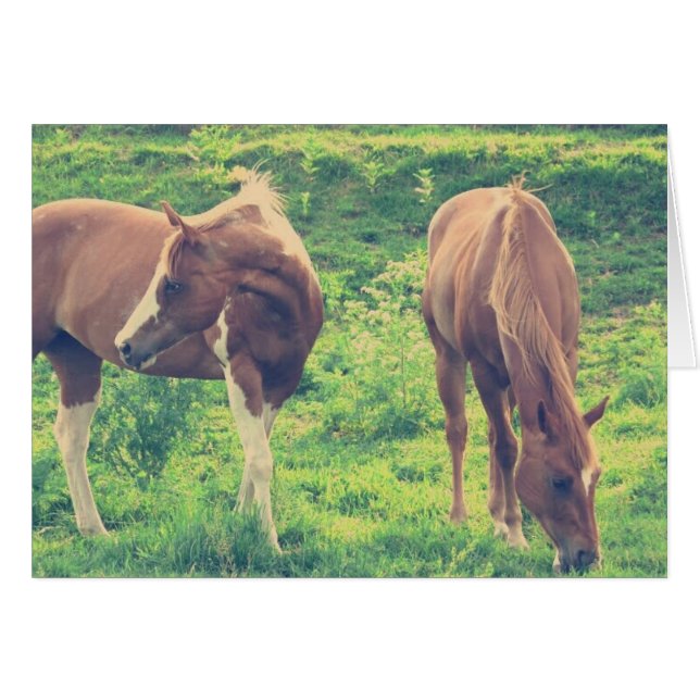 Chevaux (Devant horizontal)