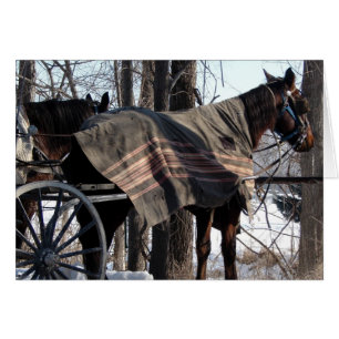 Chevaux Amish En Attente En Hiver