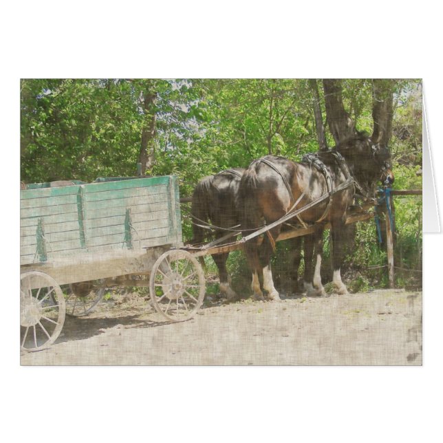 Chevaux Amish et Wagon (Devant horizontal)