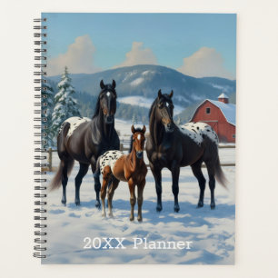 Chevaux Appaloosa noirs sur une ferme en hiver
