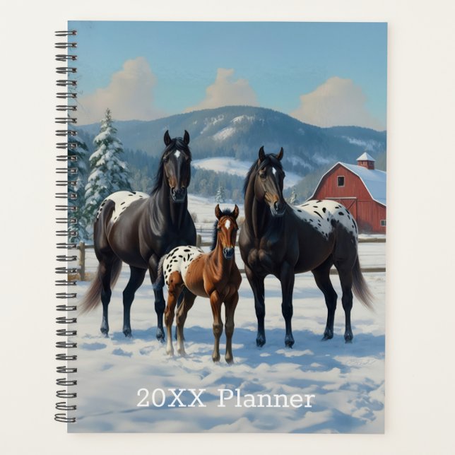 Chevaux Appaloosa noirs sur une ferme en hiver (Devant)