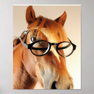 Chevaux avec lunettes Affiches