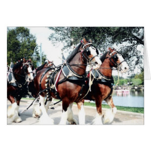 Chevaux Clydesdale