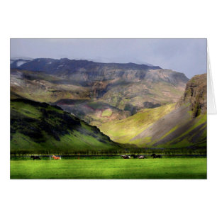 Chevaux courants Islande