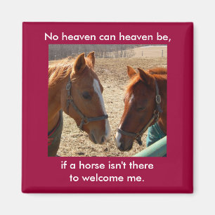 Chevaux d'ange - aimant
