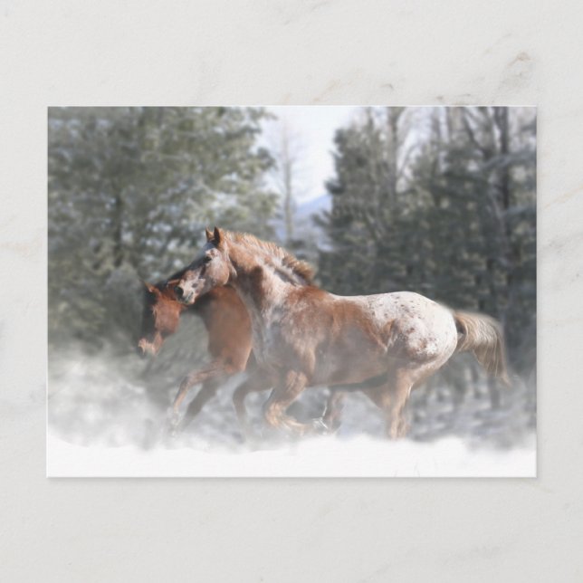 Chevaux dans la carte postale Noël de neige (Devant)