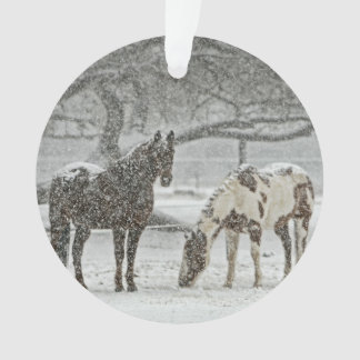 Chevaux dans la neige