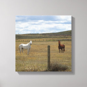 Chevaux dans la toile du Wyoming