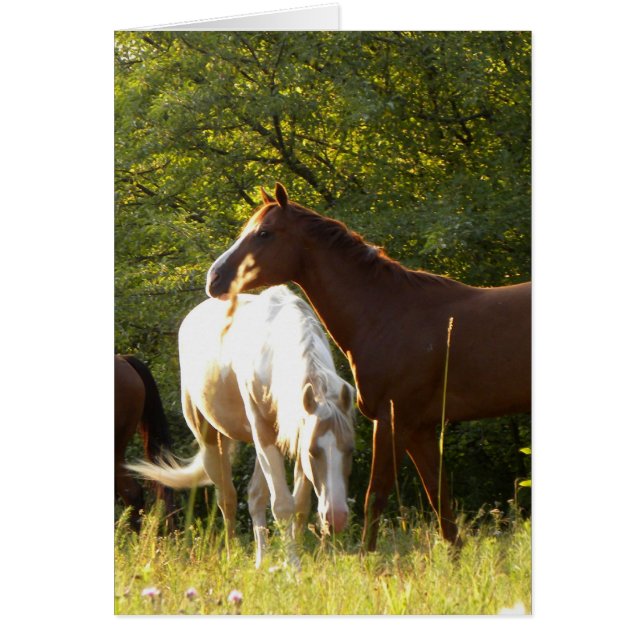 Chevaux dans le pré (Devant)