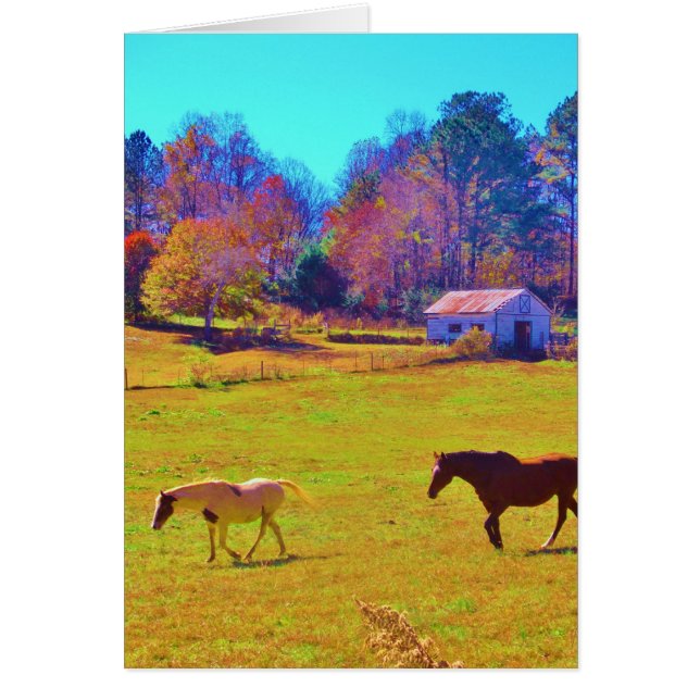 Chevaux dans un champ de couleur arc-en-ciel (Devant)