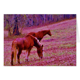 Chevaux dans un champ rose violet lavande,