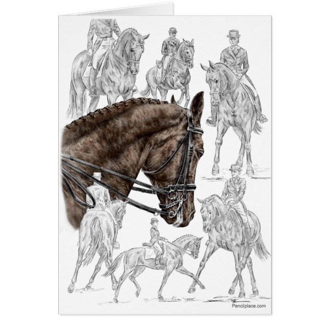 Chevaux de contrainte collectés FEI (Devant)