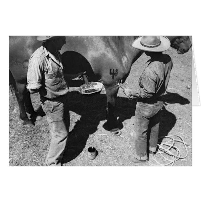 Chevaux de marquage à chaud avec la marque de (Devant horizontal)