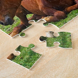 Chevaux de Moody Mountain : Un puzzle de voyage d'