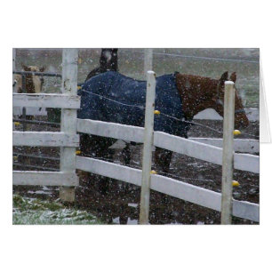 Chevaux de neige