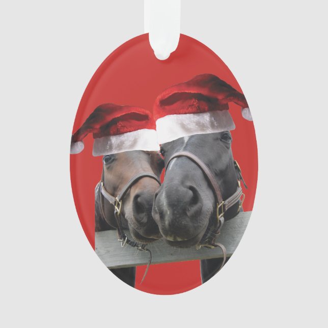 Chevaux de Noël portant des chapeaux de Père Noël (devant)