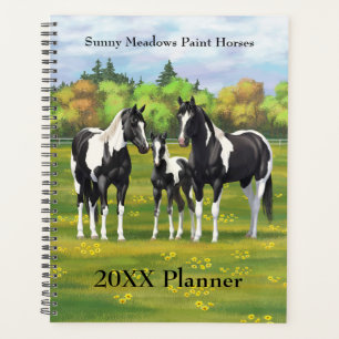 Chevaux De Peinture De Pinto Noir En Pâturage Été