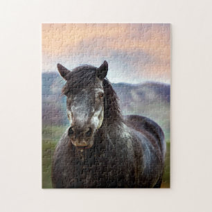 Chevaux des Etats-Unis. Jigsaw Puzzle