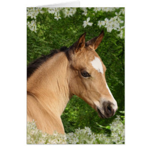 Chevaux d'imaginaire : Fleurs